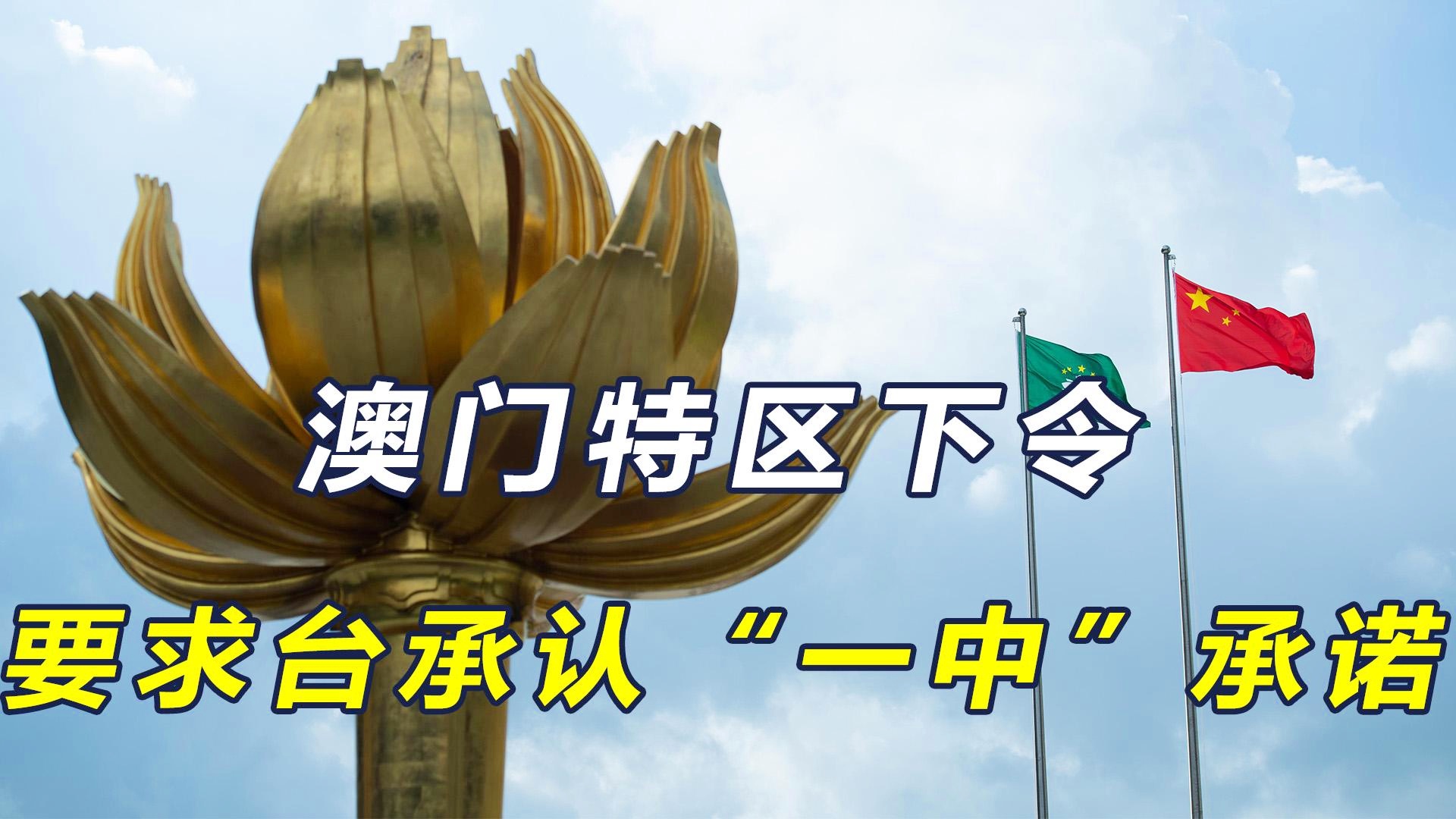 澳門一碼一肖一待一中四，探尋背后的文化魅力與神秘色彩，澳門文化魅力與神秘色彩探尋，一碼一肖一待一中四的背后故事