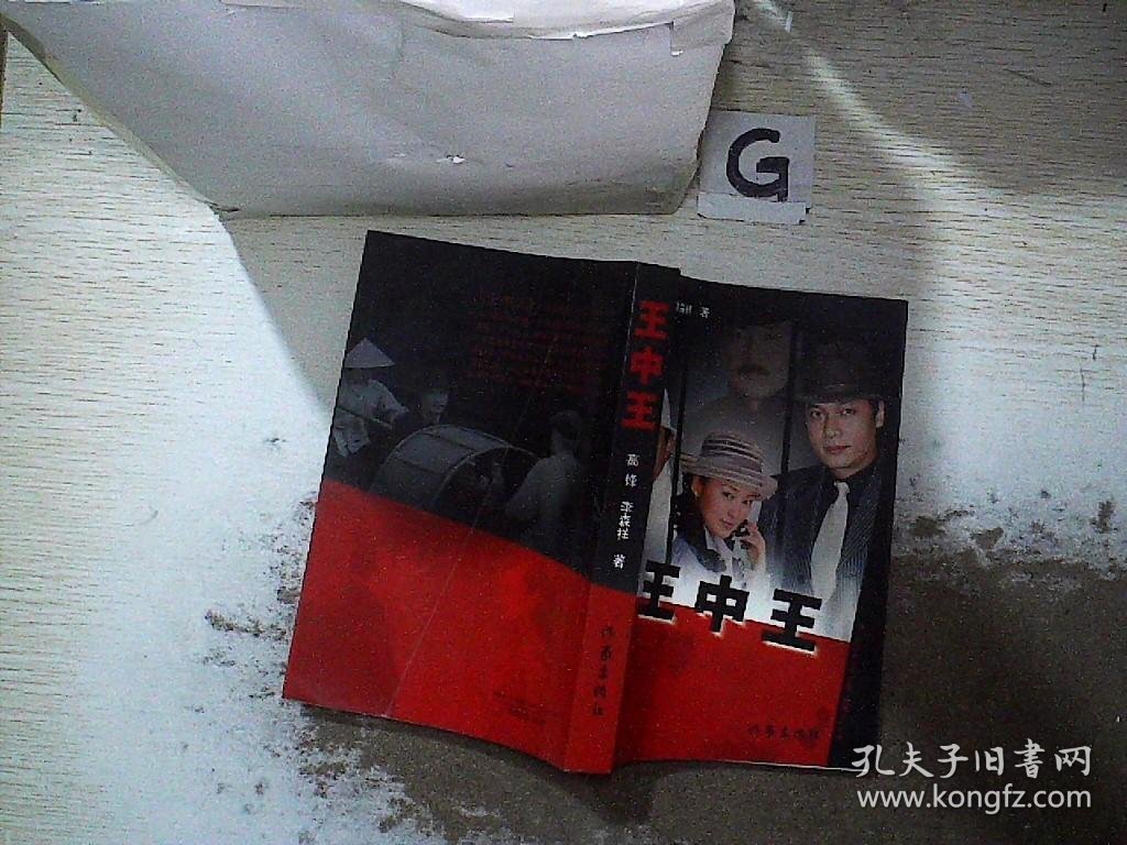 王中王資料與一肖中特管，深度解析，王中王資料與一肖中特管深度解析報(bào)告