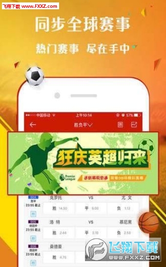 揭秘20I8年王中王平特一肖的奧秘，揭秘，王中王平特一肖的奧秘（2028年）