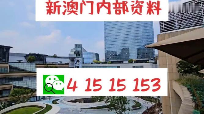 新澳一碼料，深度解析與SEO優(yōu)化策略，新澳一碼料深度解析與SEO優(yōu)化策略指南