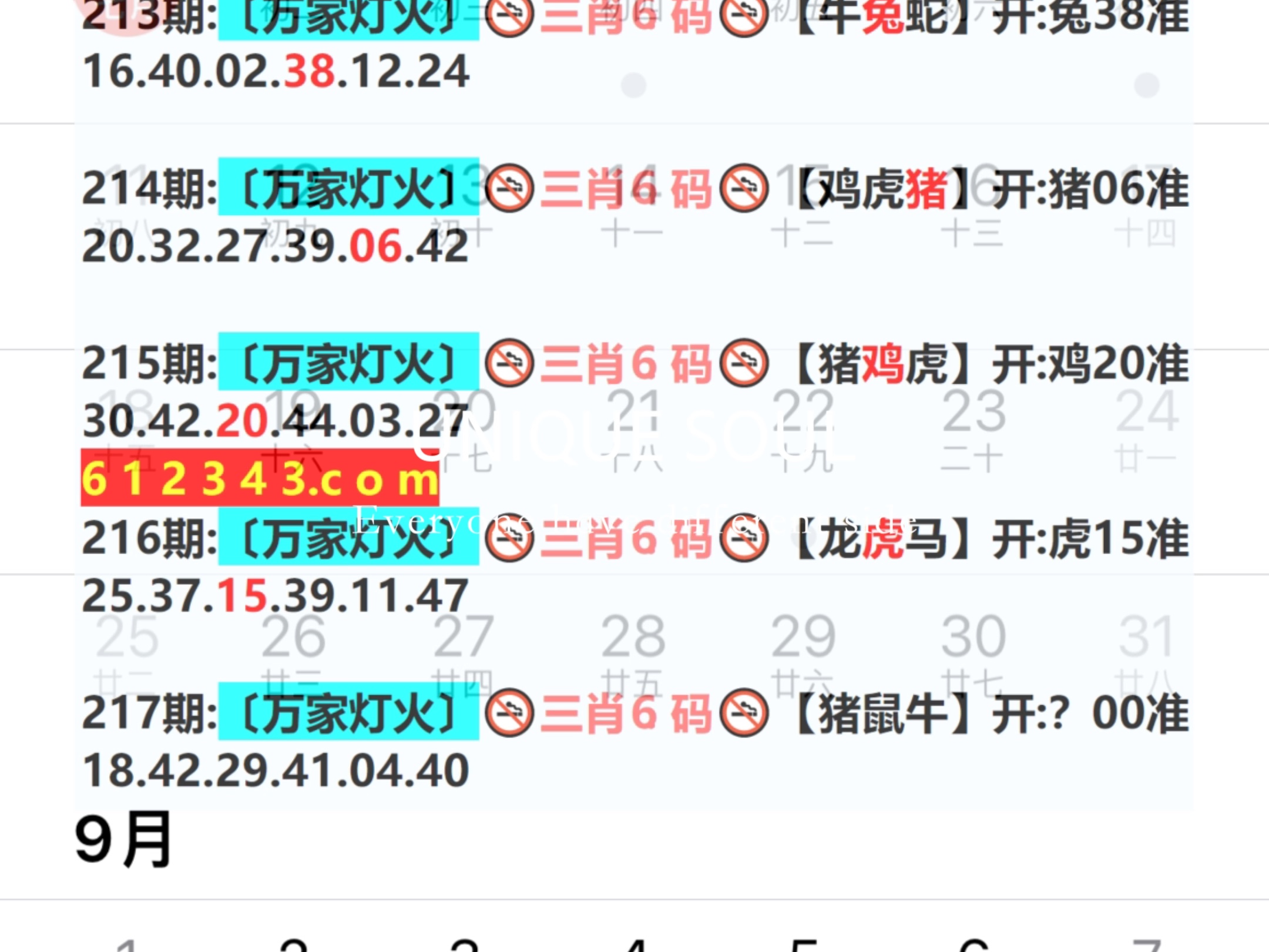 新奧門一碼中獎圖，探索彩票背后的秘密與策略，揭秘彩票背后的秘密與策略，新奧門一碼中獎圖探討