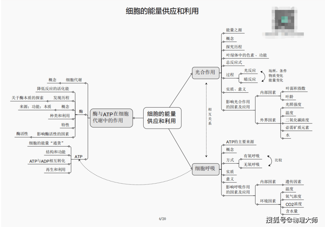 王中王三期必出平特一肖——深度解析與預(yù)測(cè)，王中王三期深度解析與預(yù)測(cè)，平特一肖即將出現(xiàn)？