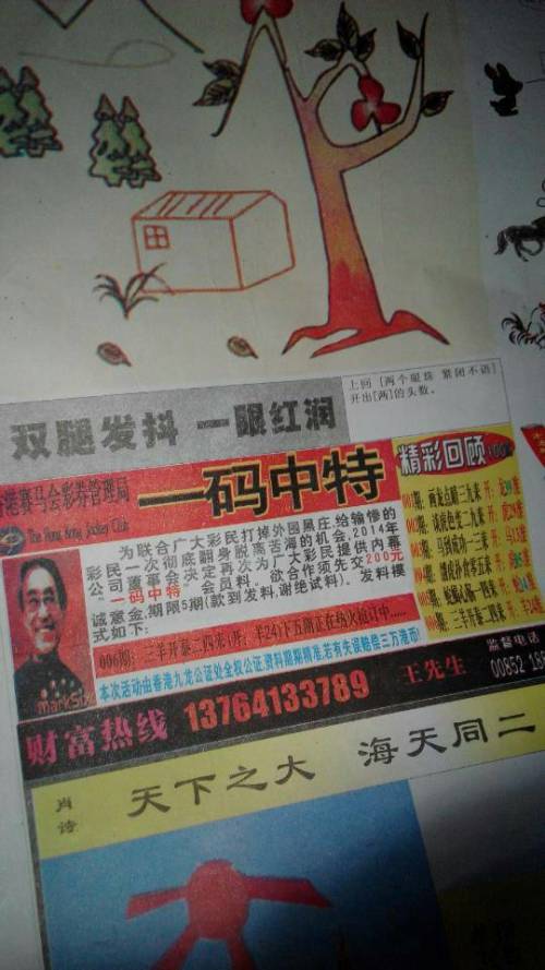 王中王欲錢(qián)詩(shī)猜一肖，揭秘背后的奧秘與文化內(nèi)涵（grti），揭秘王中王欲錢(qián)詩(shī)背后的奧秘與生肖文化內(nèi)涵（grti）