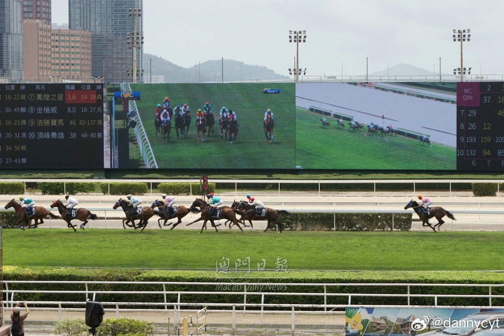 迎接未來！2025新澳門今晚開啟特馬直播盛宴，澳門特馬盛宴啟幕，直播盛宴迎向未來，2025新紀(jì)元開啟！