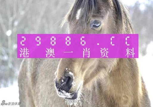 澳門一肖一碼，揭秘百分百準(zhǔn)確預(yù)測的秘密，澳門一肖一碼揭秘，百分百準(zhǔn)確預(yù)測的秘密揭曉