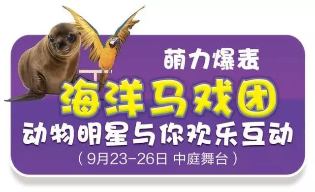 新澳門天天開獎(jiǎng)資料大全——全面解析與最新資訊，澳門天天開獎(jiǎng)資料大全，全面解析與最新資訊匯總