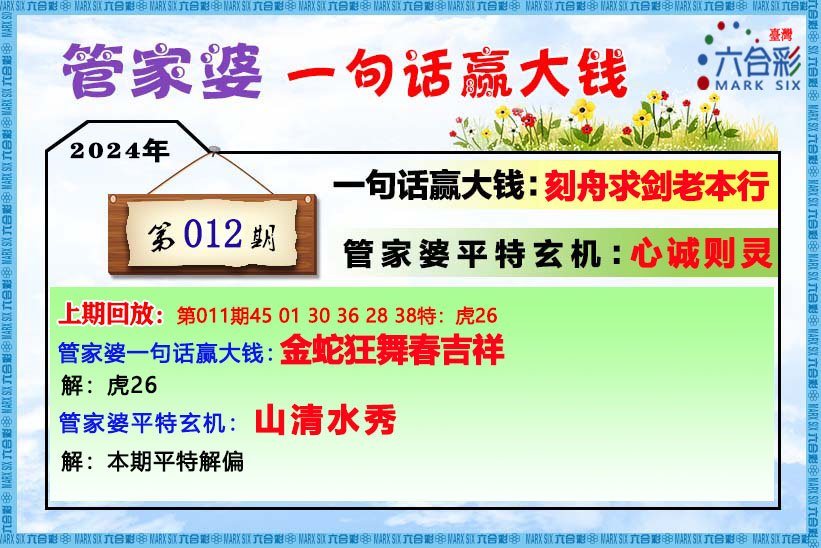 王中王資料與肖管家婆，深度解析，王中王資料與肖管家婆深度解析揭秘