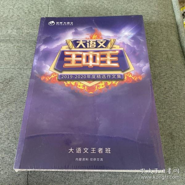 揭秘2019王中王資料一肖中v的獨(dú)特魅力與奧秘，揭秘王中王資料一肖中v的獨(dú)特魅力與奧秘 2019年深度解析