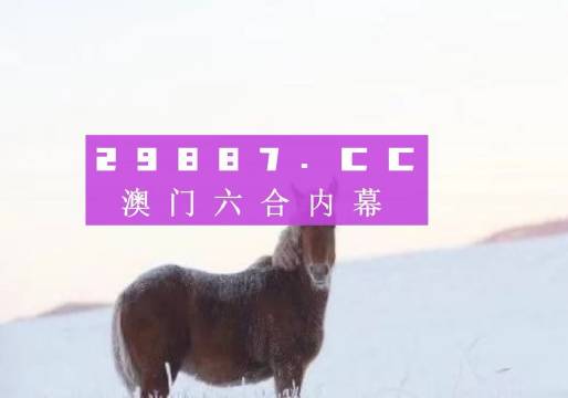 新澳門正版12碼，探索數(shù)字世界的奧秘與魅力，澳門正版12碼數(shù)字世界的奧秘探索