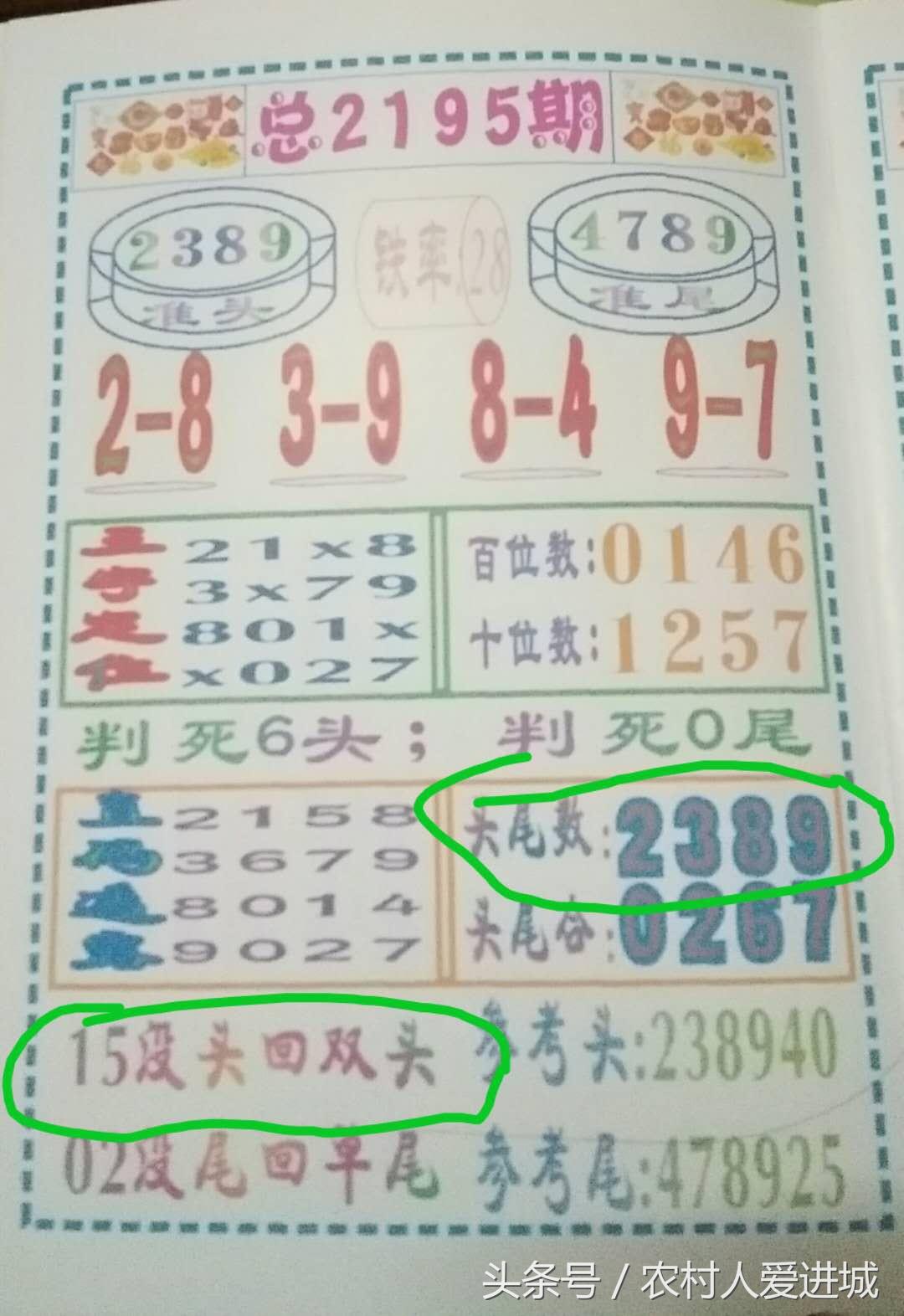 澳門今晚必開一肖期期，探索背后的秘密與策略，澳門今晚必開一肖期期探索背后的秘密與策略揭秘