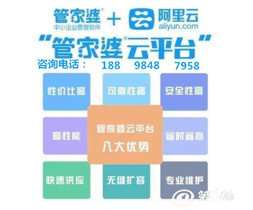 管家婆一肖王中王，揭秘背后的故事與秘密，揭秘管家婆一肖王中王的背后故事與神秘面紗