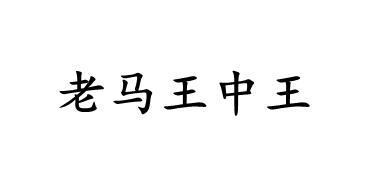 王中王丑中王解一肖，神秘生肖背后的故事與解析，揭秘生肖背后的故事與解析，王中王丑中王解一肖的神秘面紗