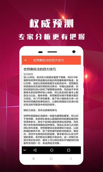 深度解析與探索（或“探索之旅”）