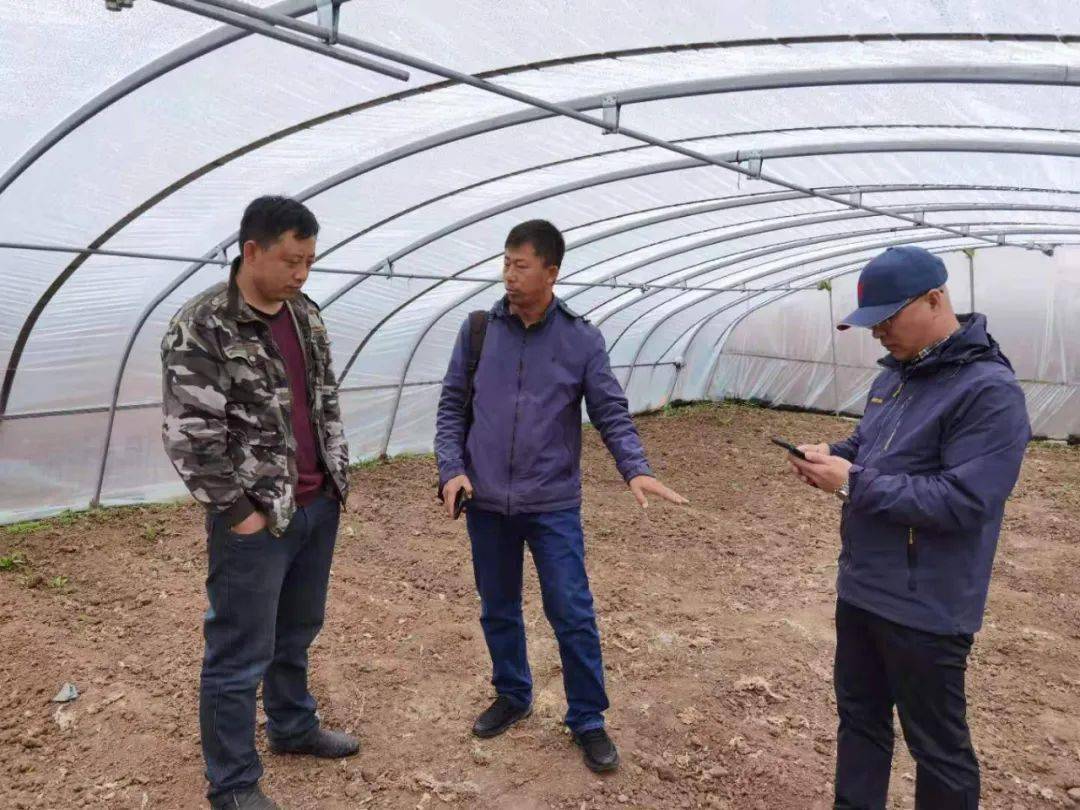 揭秘未來(lái)之門，探索澳門新馬賽事的2025新篇章，探索澳門新馬賽事新篇章，未來(lái)之門開(kāi)啟于2025年