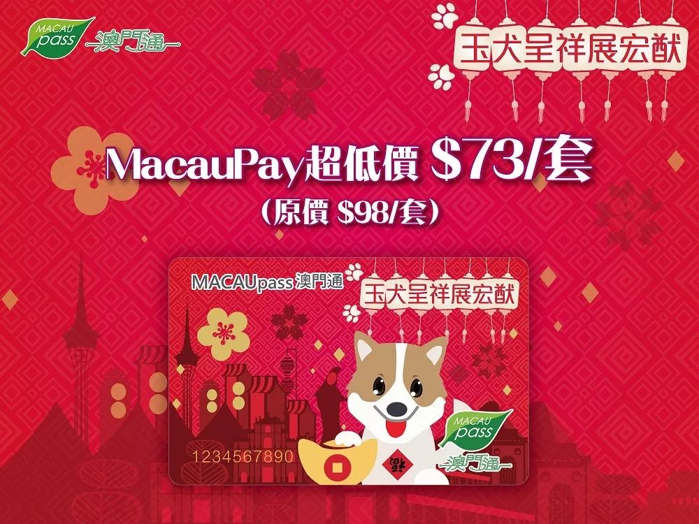 澳門生肖卡圖片大全 2025年最新版一覽，澳門生肖卡圖片大全，2025年最新版一覽展示