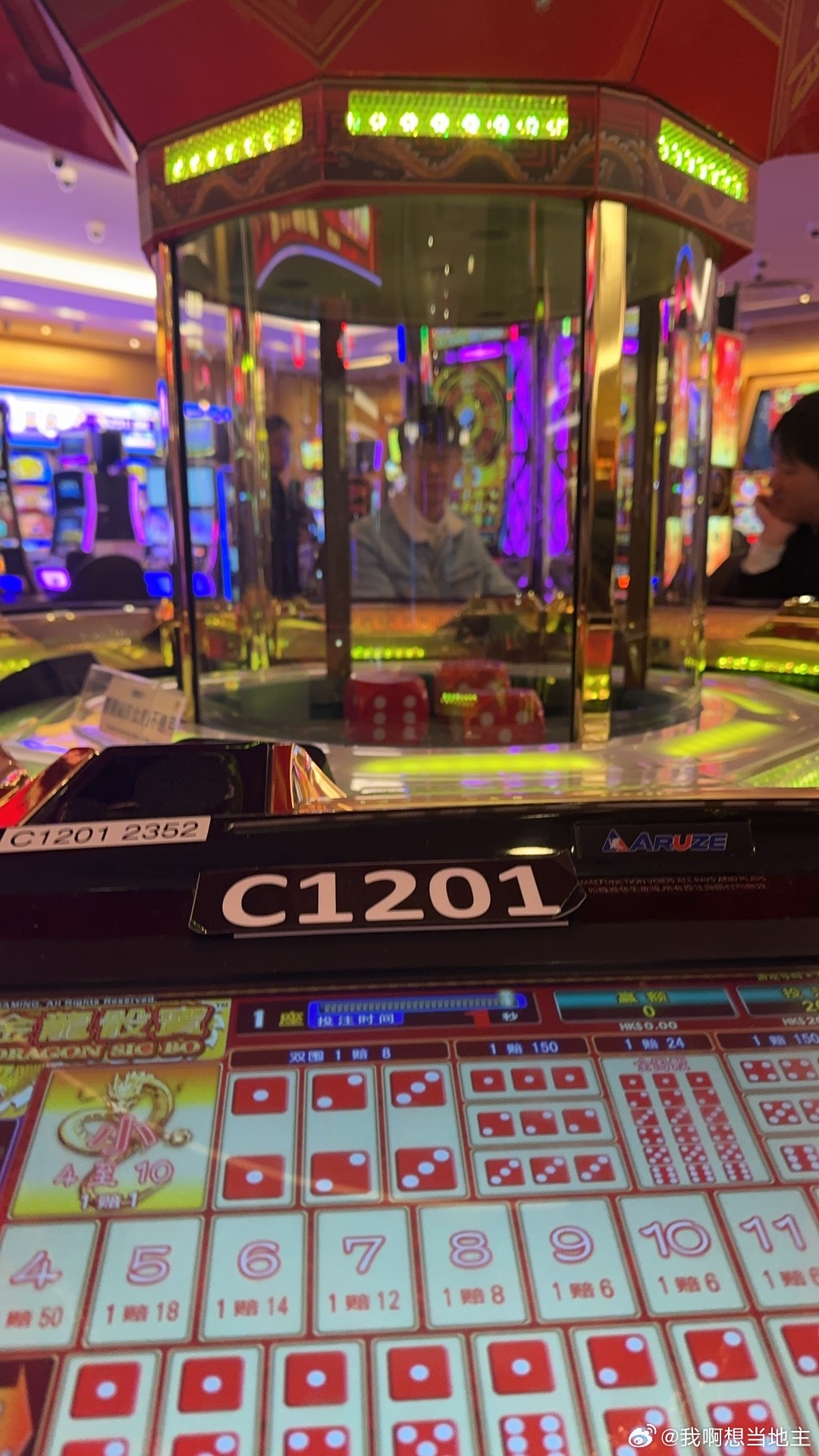 葡京王中王，一肖中特，揭秘背后的秘密與策略，揭秘葡京王中王一肖中特策略與秘密