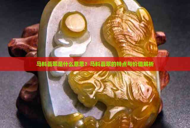 碼料是什么意思——深度解析，碼料的深度解析與含義探討
