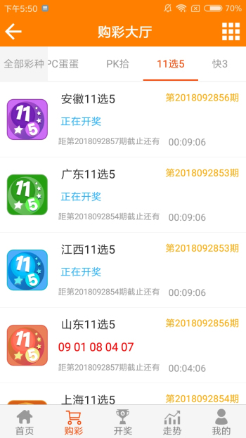 王中王資料一肖中特12，深度解析與SEO優(yōu)化文章，王中王資料一肖中特12，深度解析與SEO優(yōu)化策略探討