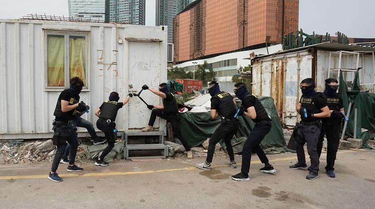 新澳門綜合號碼走勢圖，探索與解讀，澳門綜合號碼走勢圖解析與探索