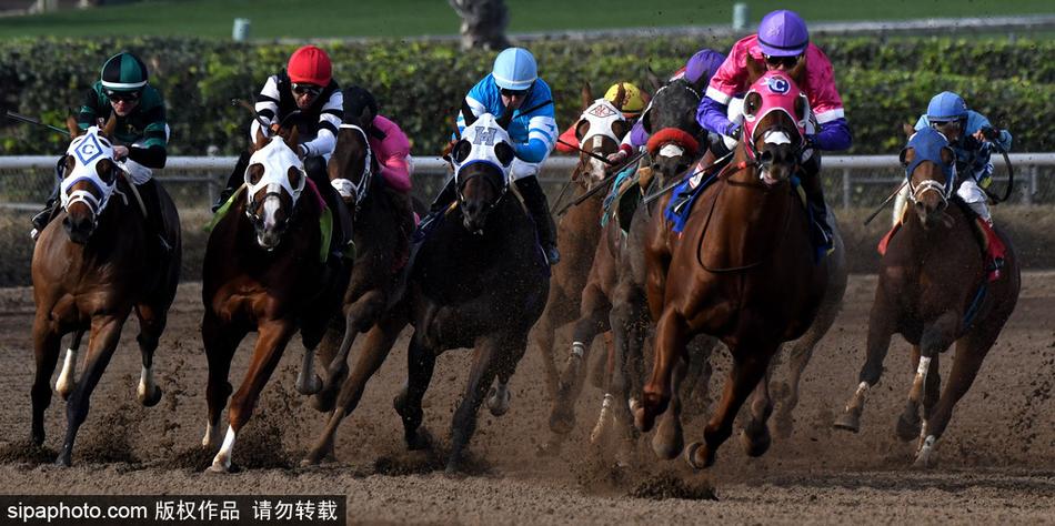 王中王特馬中心一肖囹，揭秘背后的秘密與優(yōu)勢(shì)，揭秘王中王特馬中心一肖囹背后的秘密與優(yōu)勢(shì)