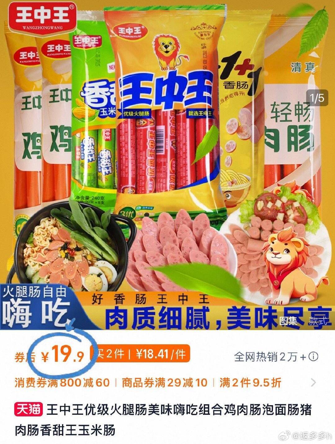 王中王資料公開(kāi)一肖中特，深度解析與探索，王中王資料揭秘，深度解析與探索一肖中特