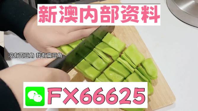 新澳精準(zhǔn)資料免費(fèi)提供，探索與實(shí)踐的指南，新澳精準(zhǔn)資料免費(fèi)分享，探索與實(shí)踐的導(dǎo)航指南
