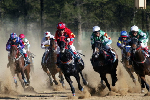 關(guān)于劉伯溫四肖選一碼的價格研究，劉伯溫四肖選一碼價格深度解析