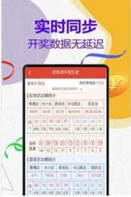 管家婆204年資料一肖配成龍——揭秘彩票秘密與策略探討，揭秘彩票秘密與策略探討，管家婆資料與成龍一肖的彩票研究