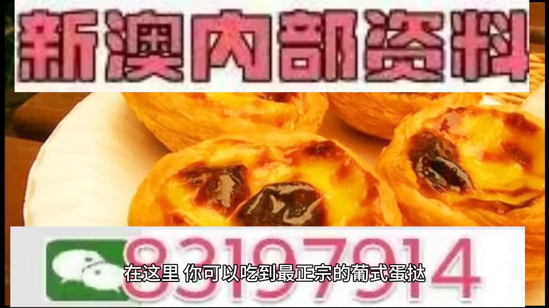 新澳門資料大全正版資料2023免費(fèi)下載，家野中特的奧秘與探索，澳門正版資料大全2023版，探索家野中特的奧秘與探索免費(fèi)下載
