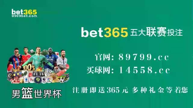 王中王中特馬王中王精準(zhǔn)資料解析與探索，王中王中特馬精準(zhǔn)資料解析與探索之旅