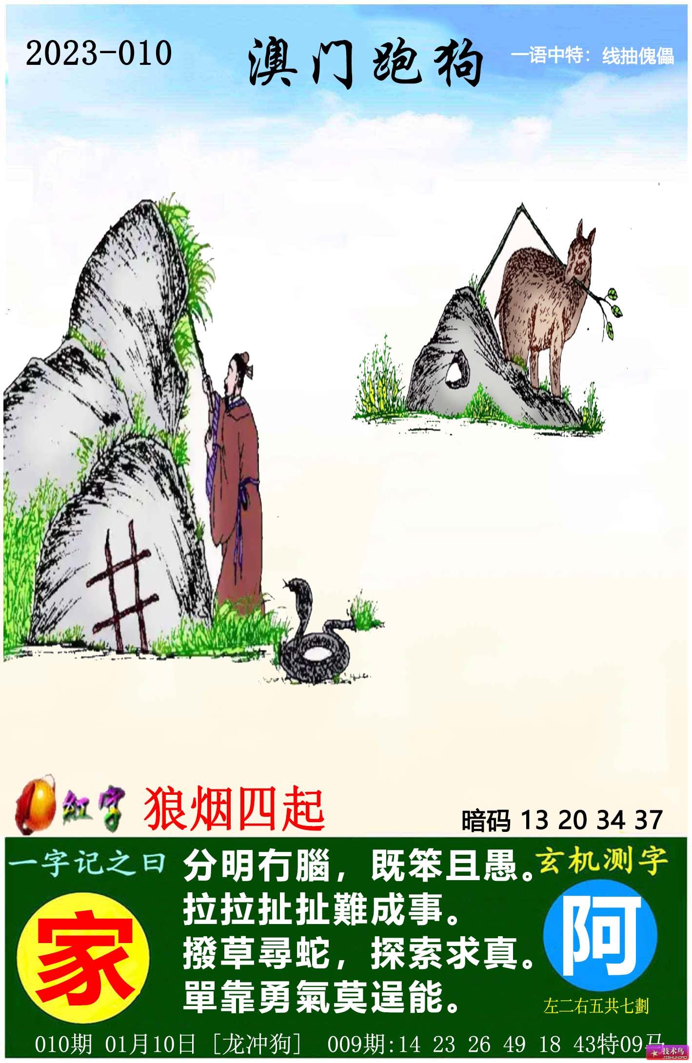 今期澳門(mén)跑狗圖，探索背后的奧秘與樂(lè)趣，澳門(mén)跑狗圖，探索背后的奧秘與魅力