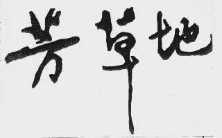 芳草地心水論主論壇最新更新內(nèi)容解析與探討，芳草地心水論主論壇更新內(nèi)容深度解析與探討