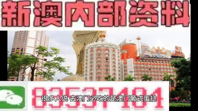 新澳門內(nèi)部免費(fèi)資料精準(zhǔn)大全——探索澳門資訊的寶庫，澳門資訊寶庫，新澳門內(nèi)部免費(fèi)資料精準(zhǔn)大全