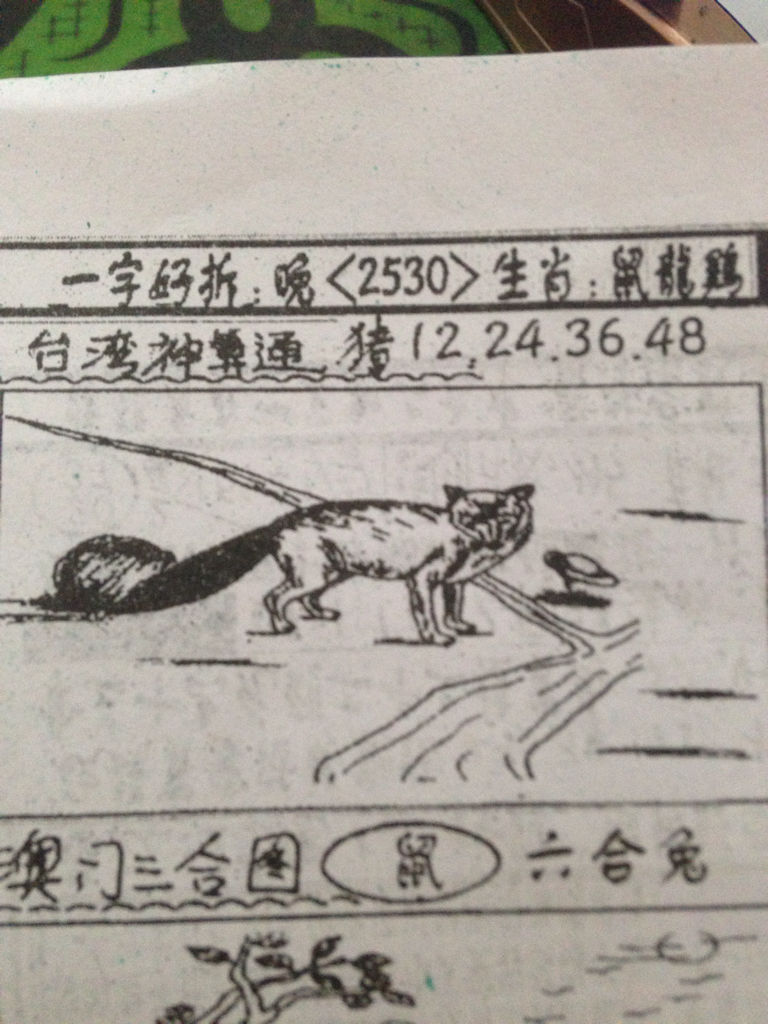 揭秘劉伯溫的生肖之謎，看圖尋找獨(dú)特線索，揭秘劉伯溫生肖之謎，獨(dú)特線索藏于圖中
