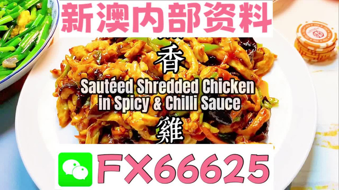 新奧天天精準(zhǔn)資料大全——全方位解讀與SEO優(yōu)化策略，新奧天天精準(zhǔn)資料大全，全方位解讀與SEO優(yōu)化策略指南