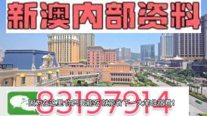 澳門精準的資料大全，探索與發(fā)現(xiàn)，澳門精準資料大全，探索未知的寶藏