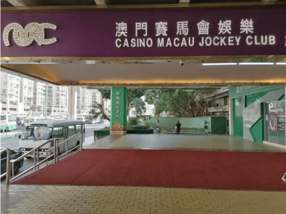揭秘2004年新澳門一肖一馬背后的秘密，揭秘，2004年新澳門一肖一馬背后的神秘面紗