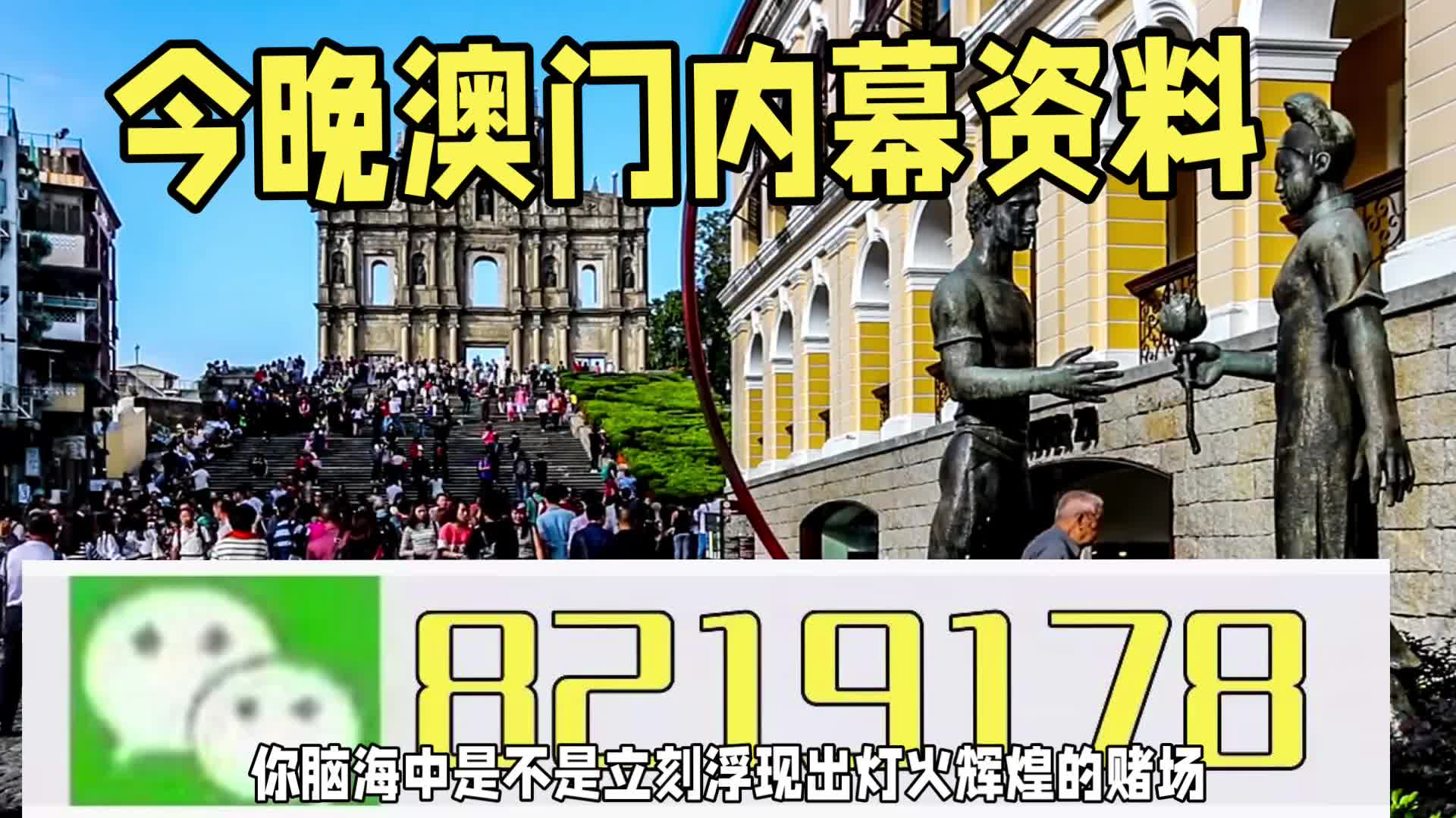 新澳門一肖一特一中，探索與解析，新澳門一肖一特一中，深度探索與解析