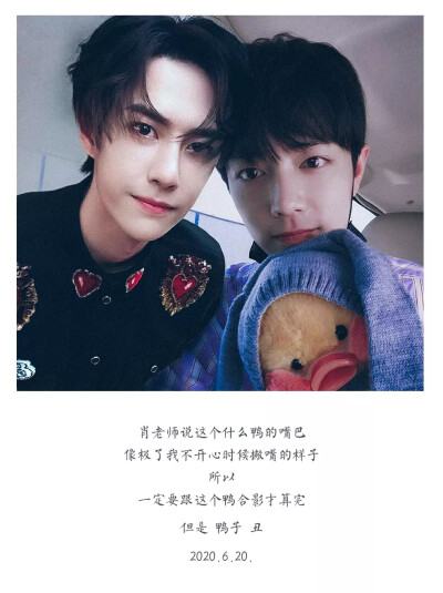 王中王一肖中特肖，探尋背后的故事與奧秘，王中王一肖中特肖，背后的故事與奧秘探尋