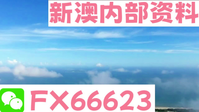 新澳2025今晚最新資料解析與預測，新澳2025今晚資料解析與預測報告