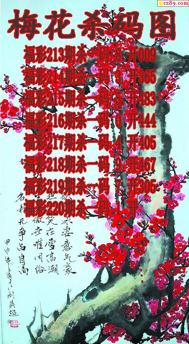 探索未來奧秘，聚焦新澳門正版梅花詩第107期與未來的展望，探索未來奧秘，新澳門正版梅花詩第107期展望與未來聚焦