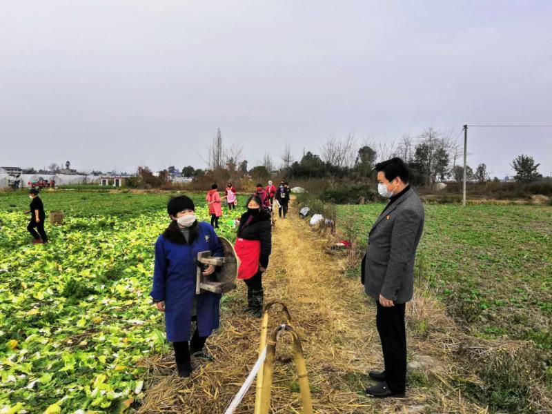 彭州市農(nóng)業(yè)農(nóng)村局最新新聞，彭州市農(nóng)業(yè)農(nóng)村局最新動(dòng)態(tài)報(bào)道