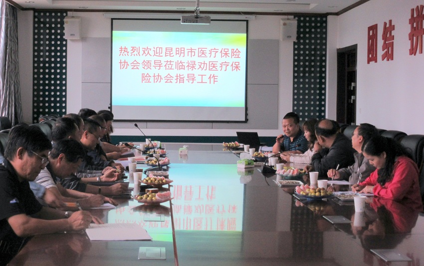 武定縣醫(yī)療保障局最新領(lǐng)導(dǎo)團(tuán)隊(duì)介紹，武定縣醫(yī)療保障局領(lǐng)導(dǎo)團(tuán)隊(duì)介紹