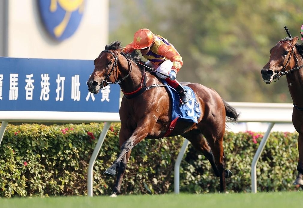 香港賽馬，77777與88888的魅力對決，香港賽馬，77777與88888的對決之夜