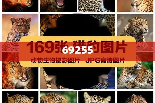 新門內(nèi)部資料免費(fèi)提供大全（最新章節(jié)）SEO文章，新門內(nèi)部資料大全最新章節(jié)SEO文章免費(fèi)分享