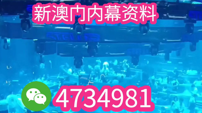 新澳門(mén)王中王期期中，探索與解析，新澳門(mén)王中王期期中，深度探索與解析