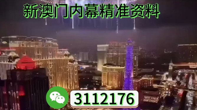 探索未來(lái)的澳門，展望澳門在2025年的發(fā)展藍(lán)圖，澳門未來(lái)展望，邁向2025年的發(fā)展藍(lán)圖探索