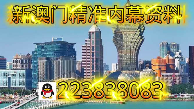 新澳內(nèi)部期期精準(zhǔn)，深度解析與SEO優(yōu)化策略，新澳內(nèi)部期期精準(zhǔn)深度解析與SEO優(yōu)化策略探討
