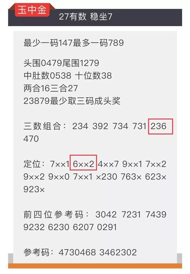王中王4487一肖中特，揭秘彩票背后的秘密與策略，揭秘彩票背后的秘密與策略，王中王4487一肖中特解析