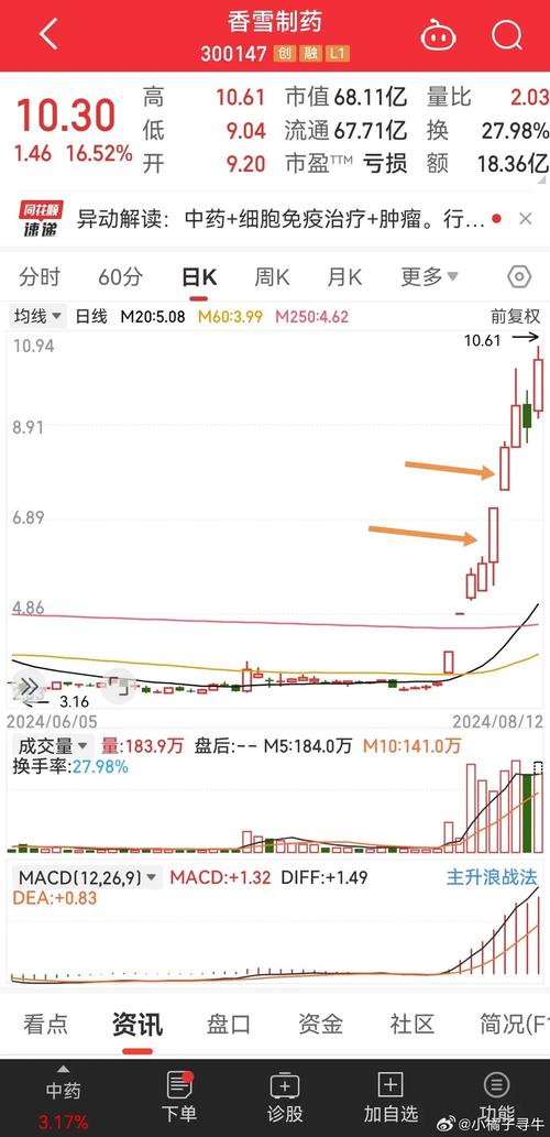 香雪制藥股票股吧，深度解析與前景展望，香雪制藥股票股吧深度解析及前景展望